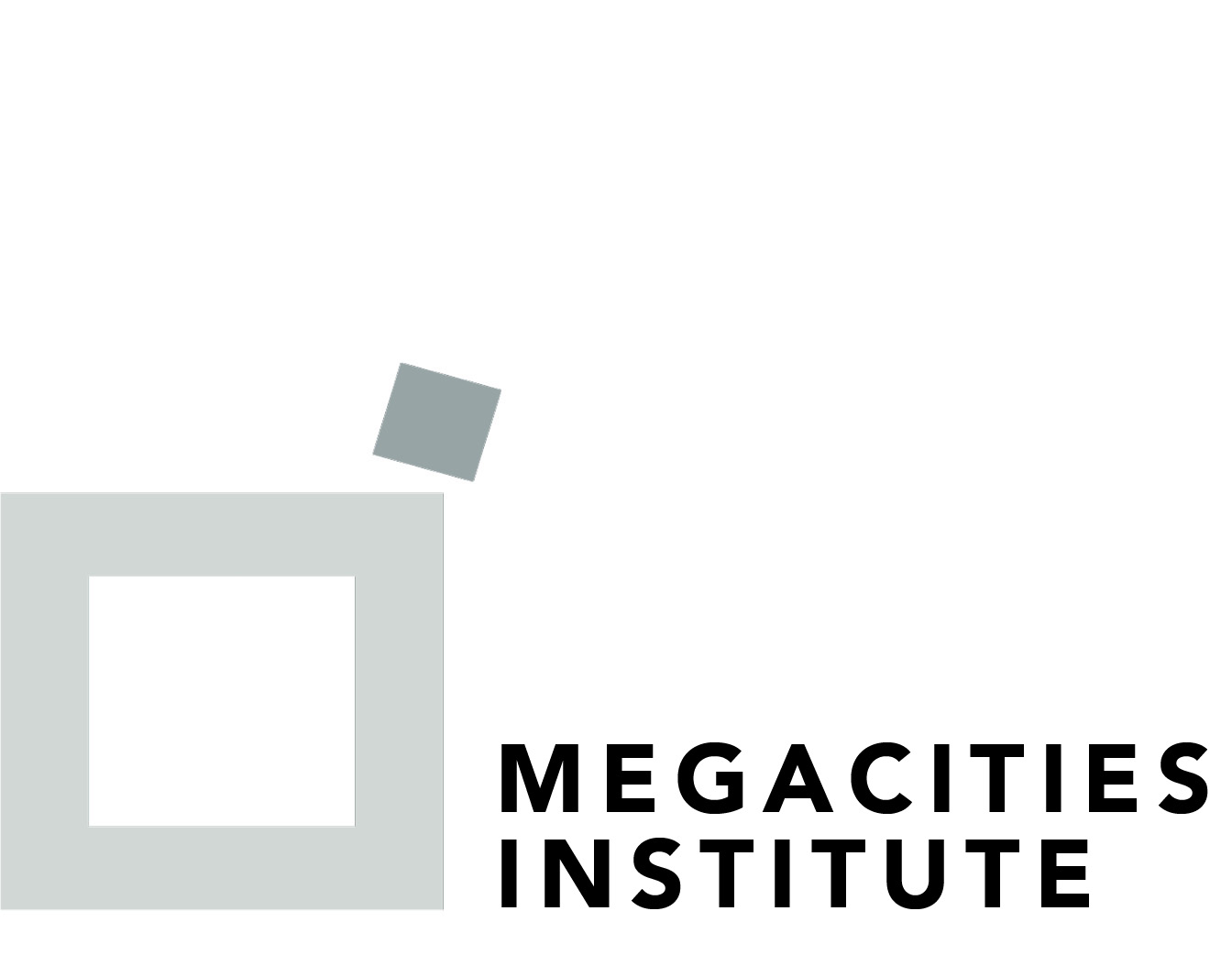 Megacities Institute